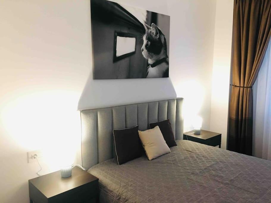 Modern With City-view Near Poiana Apartment Brasov