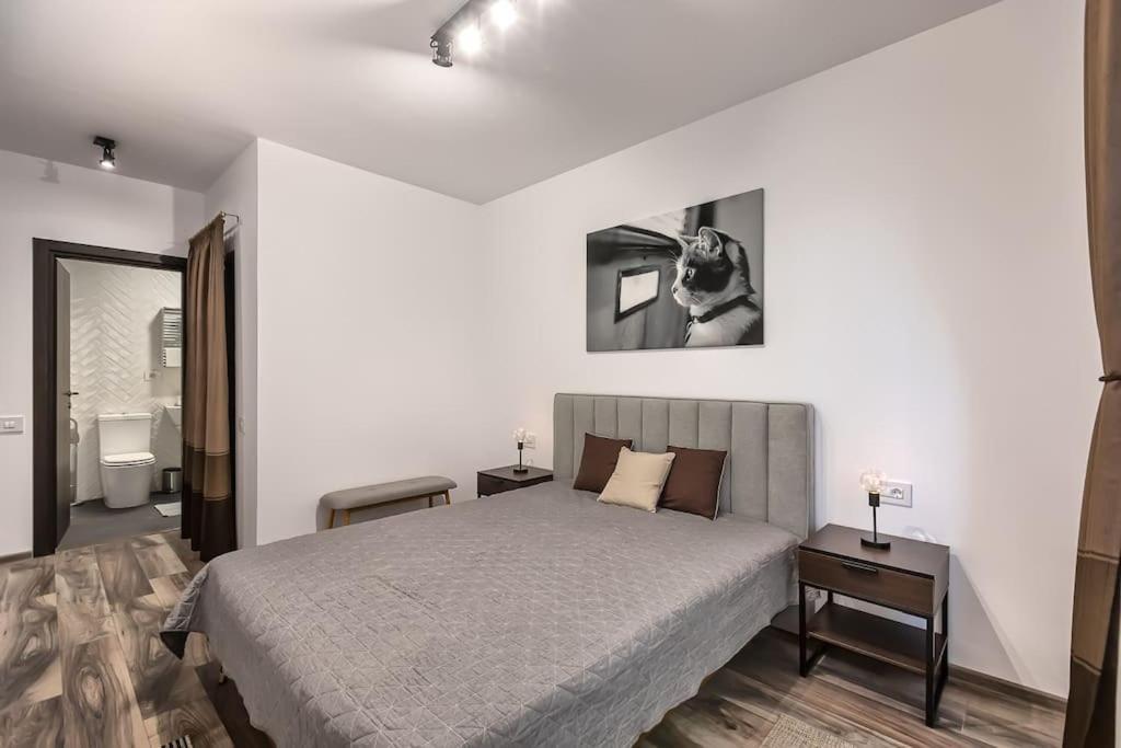 Apartamento Modern With City-view Near Poiana
